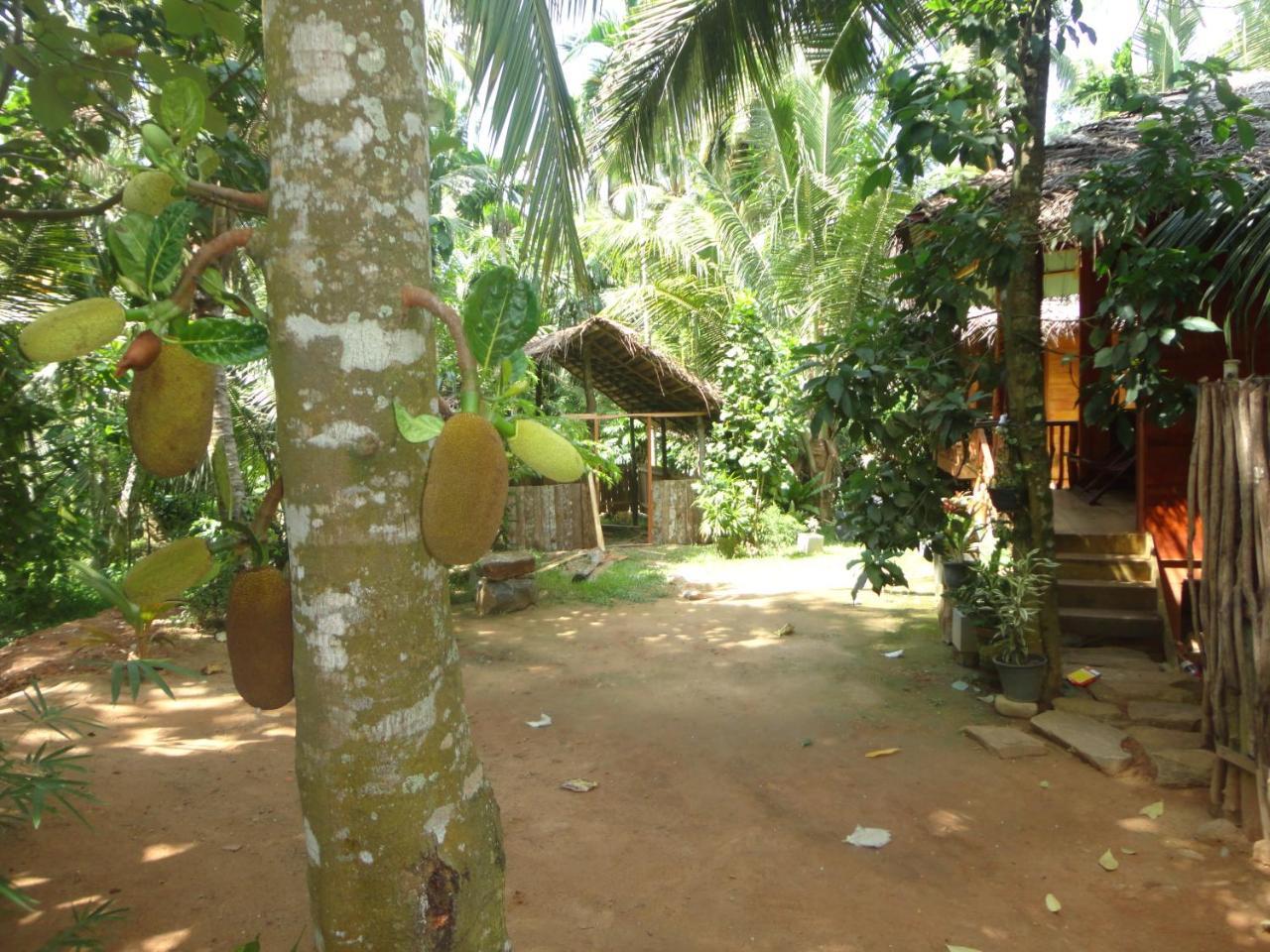 The Green Station Hotel Dikwella Exterior foto
